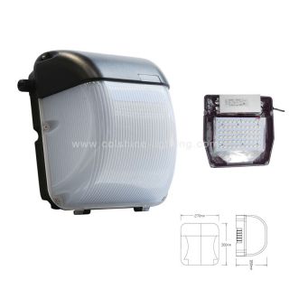 50W Wall Mounted Outdoor LED Lights